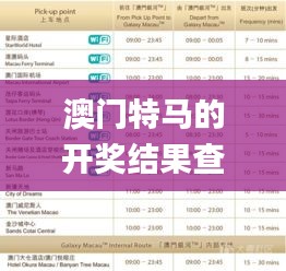 澳門特馬的開獎結果查詢,穩健設計策略_特色版DYM7.36