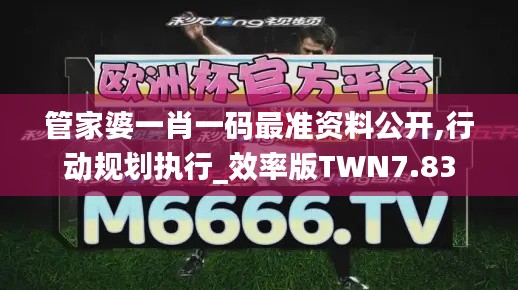 管家婆一肖一碼最準資料公開,行動規劃執行_效率版TWN7.83