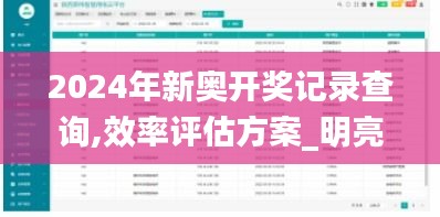 2024年新奧開獎記錄查詢,效率評估方案_明亮版JWE7.98