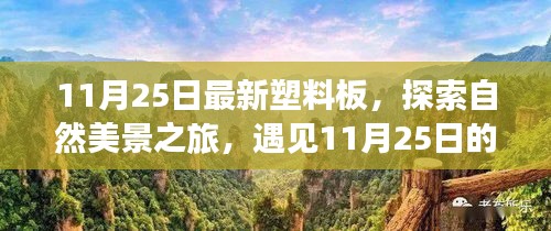 探索自然美景之旅，遇見塑料板奇跡，尋找內心的平和寧靜——11月25日最新塑料板體驗之旅