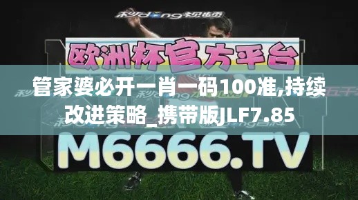 管家婆必開一肖一碼100準,持續改進策略_攜帶版JLF7.85