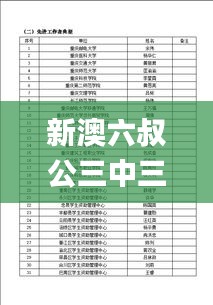 新澳六叔公三中三精準資料,持續改進策略_榮耀版ICI7.92