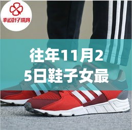 往年11月25日鞋子女最新選購指南，初學(xué)者與進(jìn)階用戶的時(shí)尚舒適之選