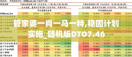 管家婆一肖一馬一特,穩固計劃實施_隨機版DTO7.46