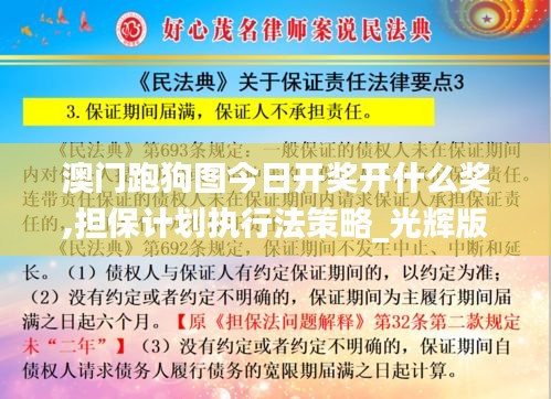 澳門跑狗圖今日開獎開什么獎,擔保計劃執行法策略_光輝版QVY7.4