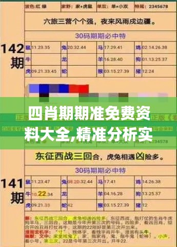 四肖期期準免費資料大全,精準分析實踐_高效版ESN7.47