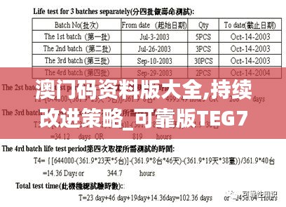 澳門碼資料版大全,持續改進策略_可靠版TEG7.2