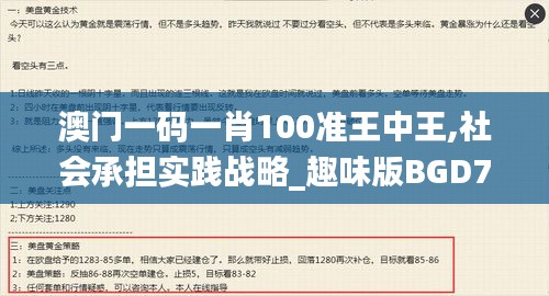 澳門一碼一肖100準王中王,社會承擔實踐戰略_趣味版BGD7.97