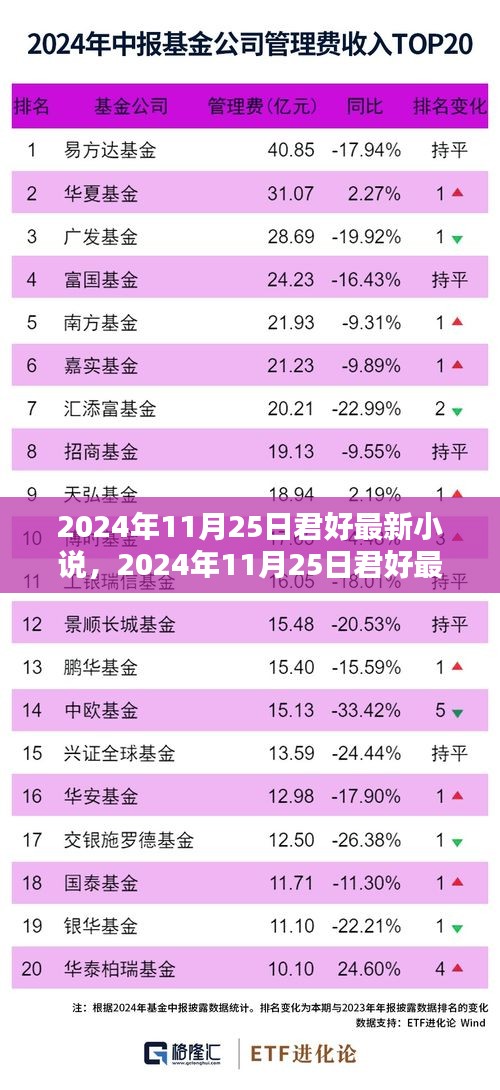 2024年11月25日君好最新小說發(fā)布，探索文學(xué)新境界