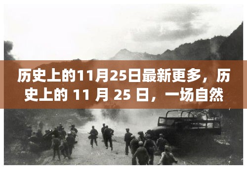 歷史上的11月25日，自然美景探險(xiǎn)之旅，追尋內(nèi)心的寧靜與平和