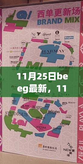 11月25日beeg最新，11月25日Beeg最新更新，深度探討其影響及觀點