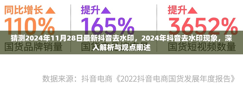 揭秘2024年抖音去水印現象，深度解析與觀點闡述，最新動態預測至11月28日