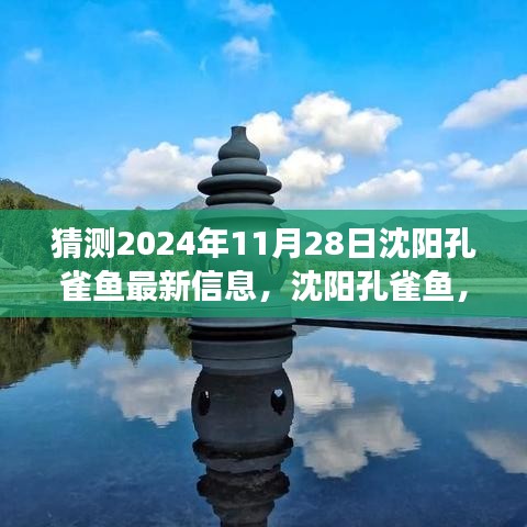 沈陽孔雀魚未來展望，探尋歷史與未來的交織之美，預測2024年11月最新信息揭秘