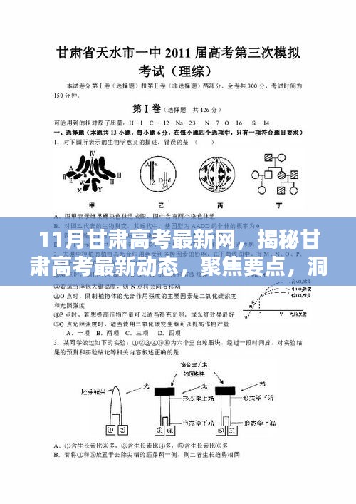 聚焦甘肅高考最新動態(tài)，揭秘要點、洞悉趨勢