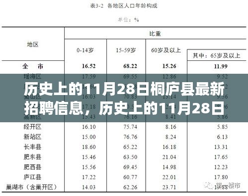 歷史上的11月28日桐廬縣最新招聘信息深度解析與觀點(diǎn)闡述