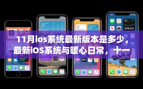 十一月iOS系統升級之旅，暖心日常與最新版本的探索