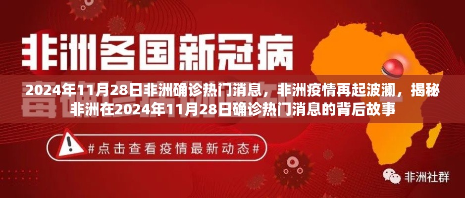 揭秘非洲疫情再起波瀾，2024年11月28日非洲確診熱門(mén)消息的背后故事