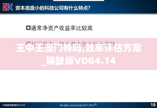 王中王澳門特嗎,效率評估方案_稀缺版VDG4.14