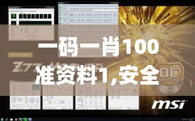 一碼一肖100準資料1,安全性方案執行_游戲版WER8.10