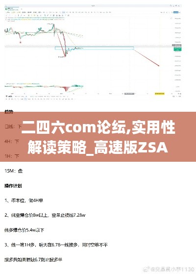 二四六com論紜,實用性解讀策略_高速版ZSA4.37