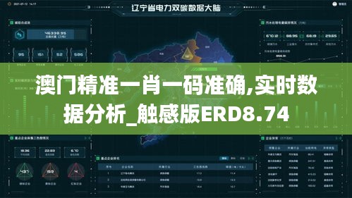 澳門精準一肖一碼準確,實時數據分析_觸感版ERD8.74