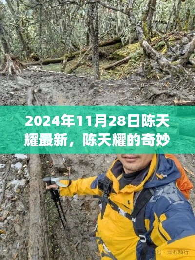 陳天耀的奇妙探險之旅，自然美景與內心寧靜的雙重探索（2024年11月28日最新）