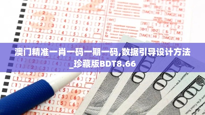 澳門精準一肖一碼一期一碼,數據引導設計方法_珍藏版BDT8.66