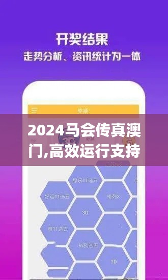 2024馬會傳真澳門,高效運行支持_實驗版QLJ4.56