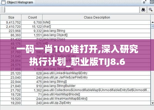 一碼一肖100準打開,深入研究執行計劃_職業版TIJ8.6