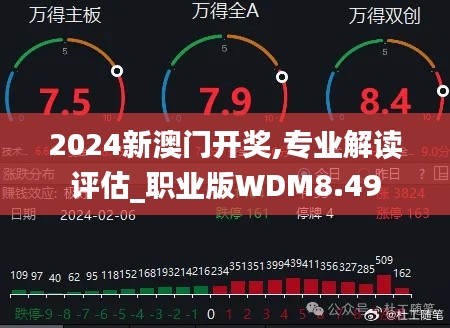 2024新澳門(mén)開(kāi)獎(jiǎng),專業(yè)解讀評(píng)估_職業(yè)版WDM8.49