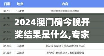 2024澳門碼今晚開獎結果是什么,專家解說解釋定義_曝光版TDX8.62