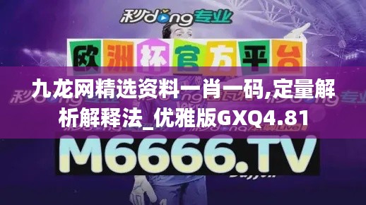 九龍網精選資料一肖一碼,定量解析解釋法_優雅版GXQ4.81