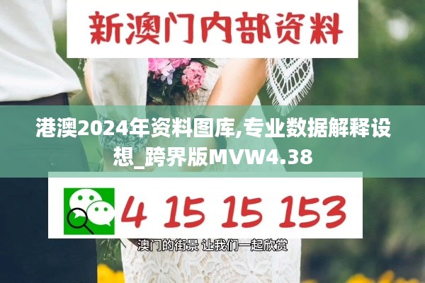 港澳2024年資料圖庫,專業數據解釋設想_跨界版MVW4.38