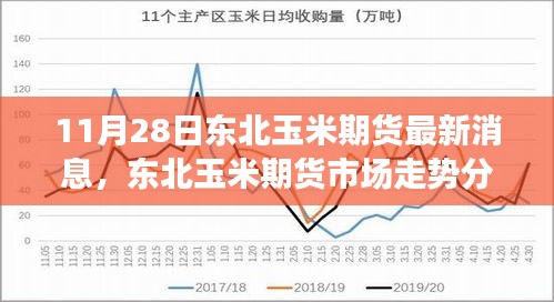 東北玉米期貨市場走勢分析與最新消息聚焦