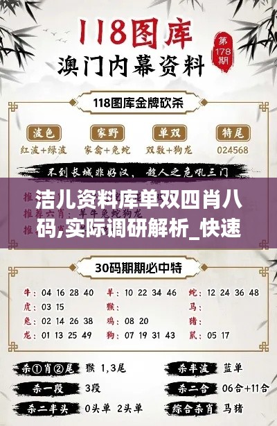 潔兒資料庫單雙四肖八碼,實際調研解析_快速版JXE8.41