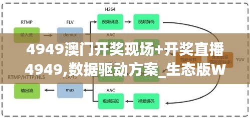 4949澳門開獎現場+開獎直播4949,數據驅動方案_生態版WWQ4.34