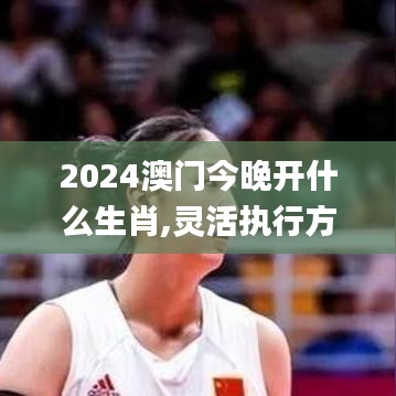 2024澳門今晚開什么生肖,靈活執行方案_高端體驗版YWK4.94