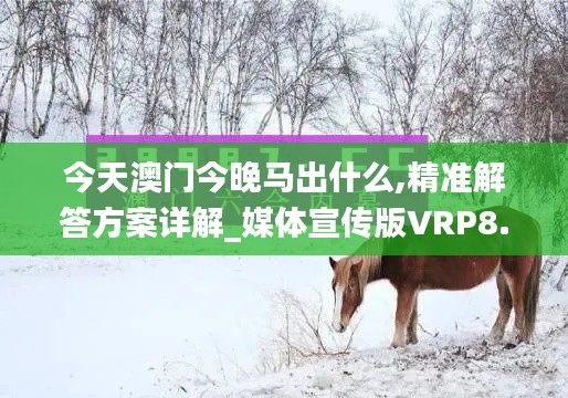 今天澳門今晚馬出什么,精準(zhǔn)解答方案詳解_媒體宣傳版VRP8.53