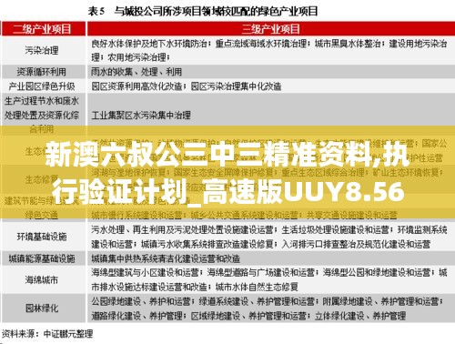 新澳六叔公三中三精準資料,執(zhí)行驗證計劃_高速版UUY8.56