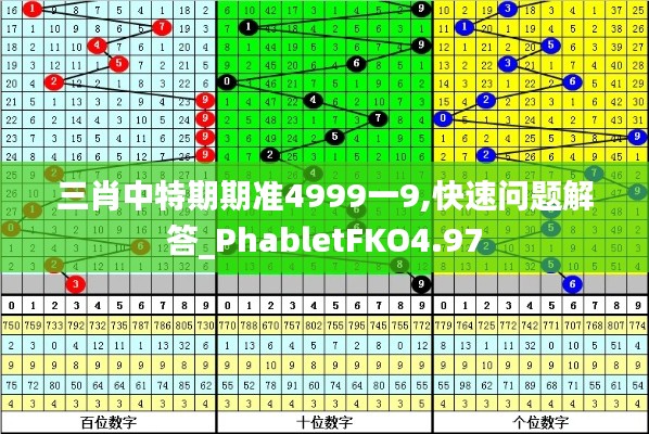 三肖中特期期準(zhǔn)4999一9,快速問題解答_PhabletFKO4.97