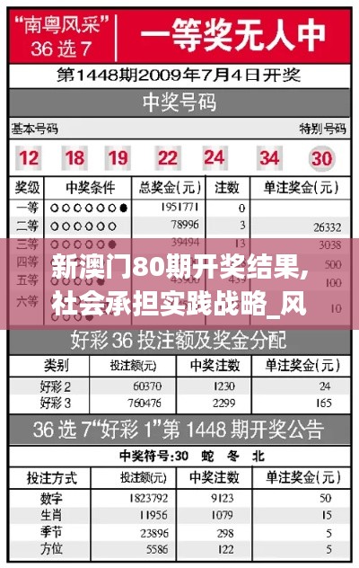 新澳門80期開獎結果,社會承擔實踐戰略_風尚版CDM8.15