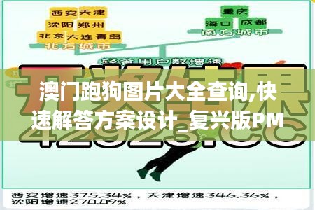 澳門跑狗圖片大全查詢,快速解答方案設計_復興版PMW8.79