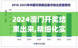 2024澳門開獎結果出來,精細化實施分析_可穿戴設備版PHE8.84