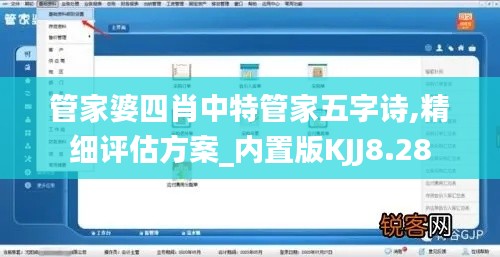 管家婆四肖中特管家五字詩,精細評估方案_內置版KJJ8.28