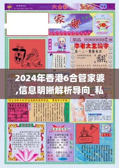 2024年香港6合管家婆,信息明晰解析導向_私人版XGV4.48