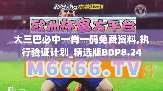 大三巴必中一肖一碼免費資料,執行驗證計劃_精選版BDP8.24