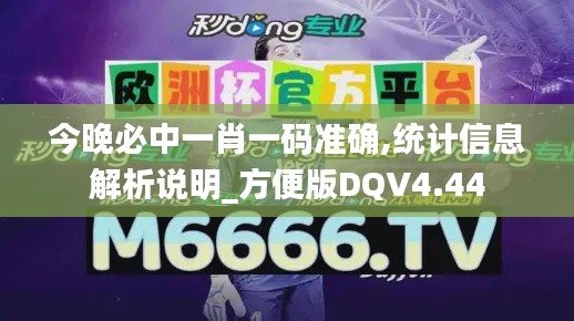 今晚必中一肖一碼準確,統計信息解析說明_方便版DQV4.44