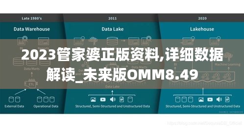 2023管家婆正版資料,詳細數據解讀_未來版OMM8.49