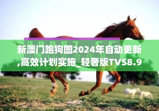 新澳門跑狗圖2024年自動(dòng)更新,高效計(jì)劃實(shí)施_輕奢版TVS8.93