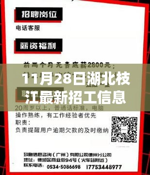 湖北枝江最新招工熱潮，11月28日招工信息匯總與枝江新篇章開啟